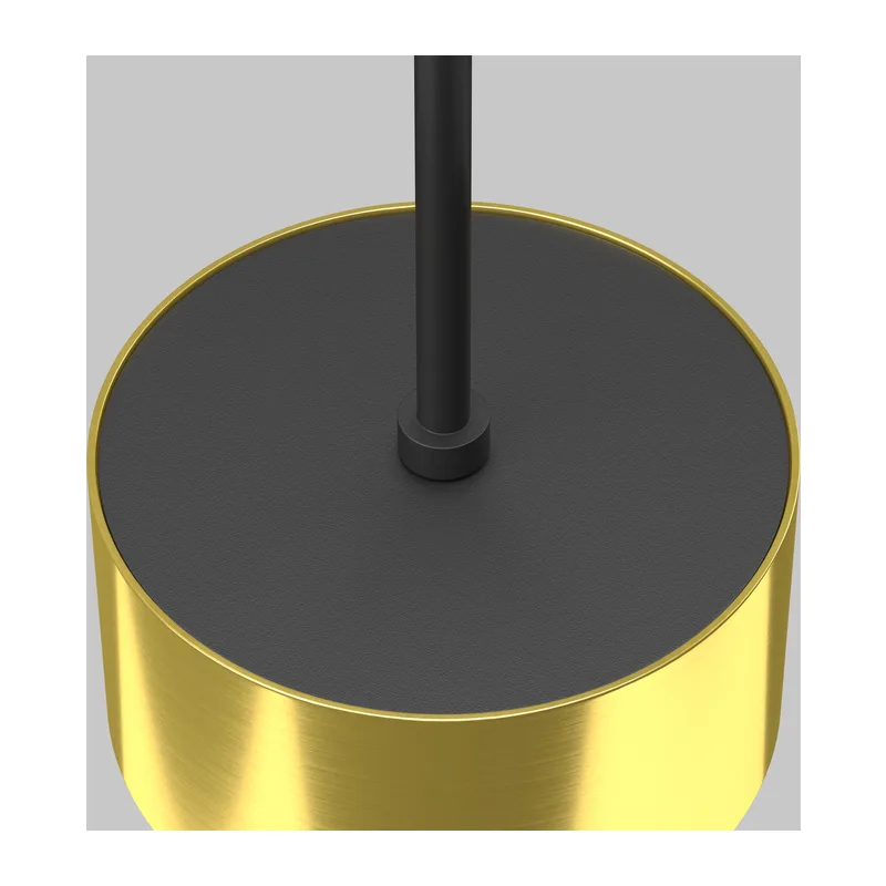 P102PL-12W4K-BS 6