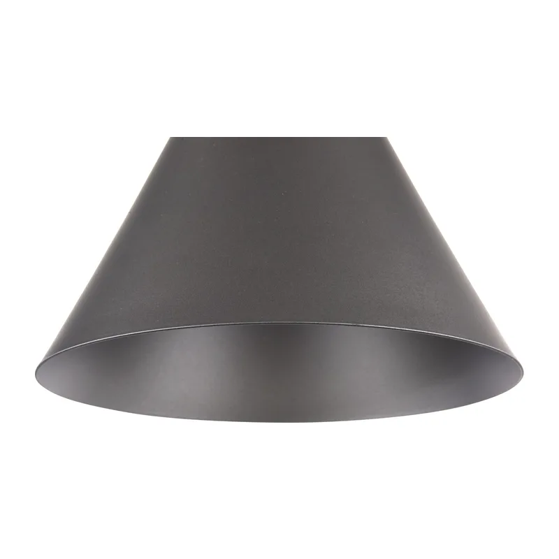 Подвесной светильник Биконес / Bicones E27х1 Maytoni P359-PL-220-C 4