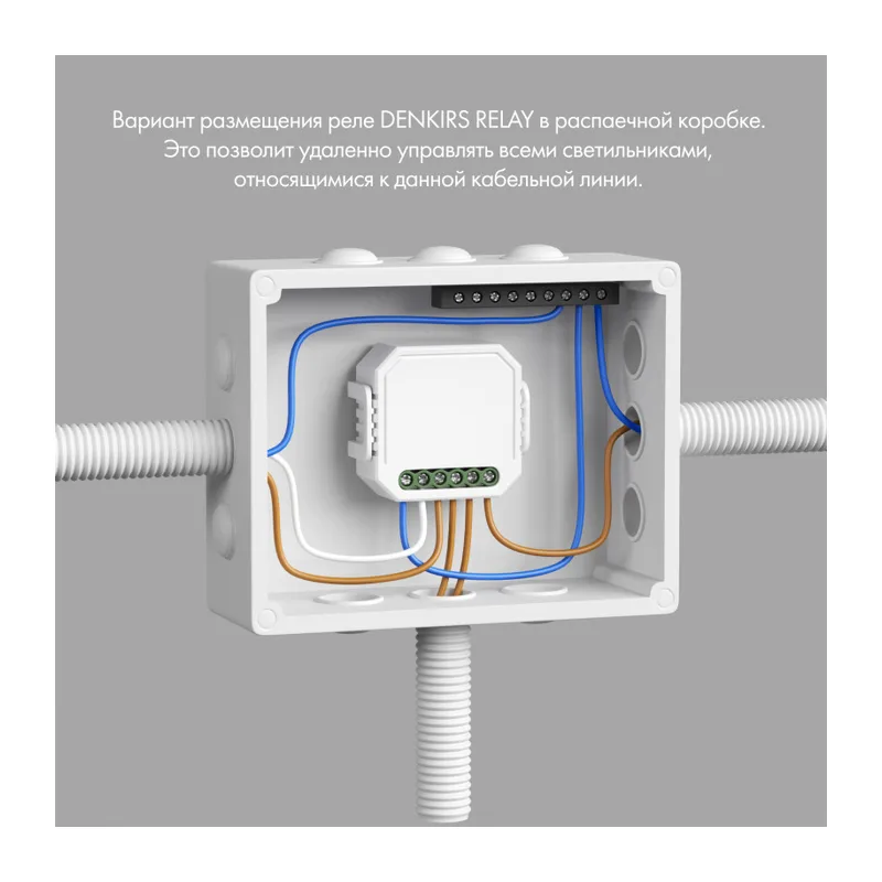Wi-Fi реле Denkirs Relay | РИЛЭЙ RL1001-SM/1 2