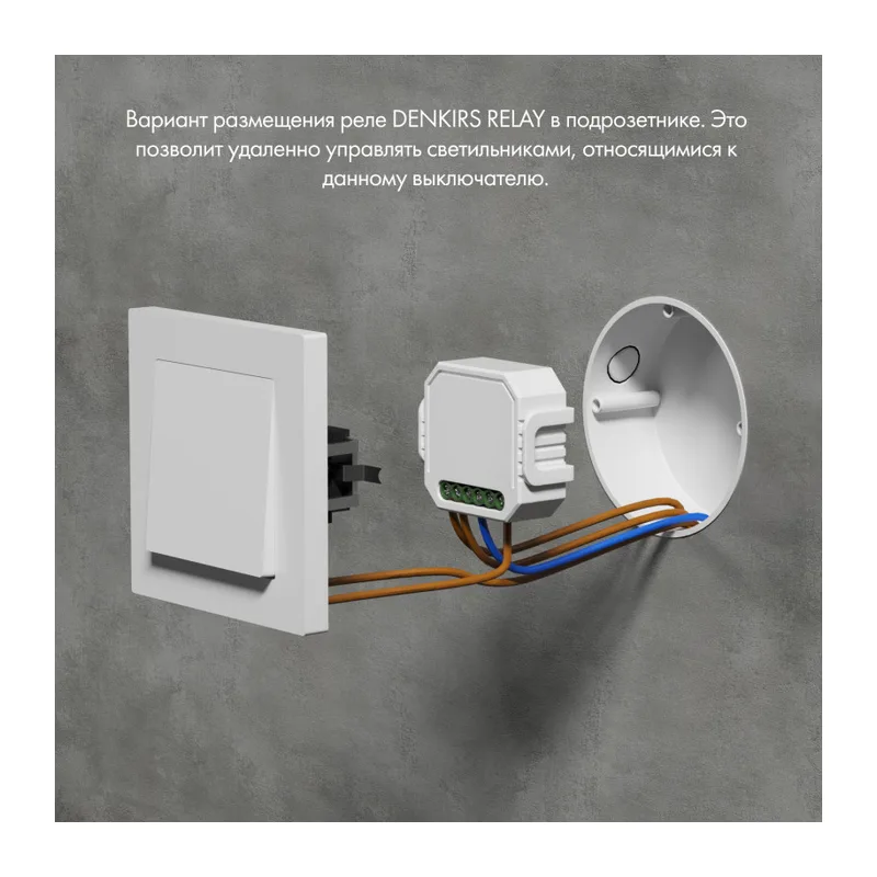 Wi-Fi реле Denkirs Relay | РИЛЭЙ RL1001-SM/1 4