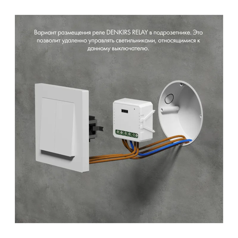 Wi-Fi реле Denkirs Relay | РИЛЭЙ RL1002-SM 4