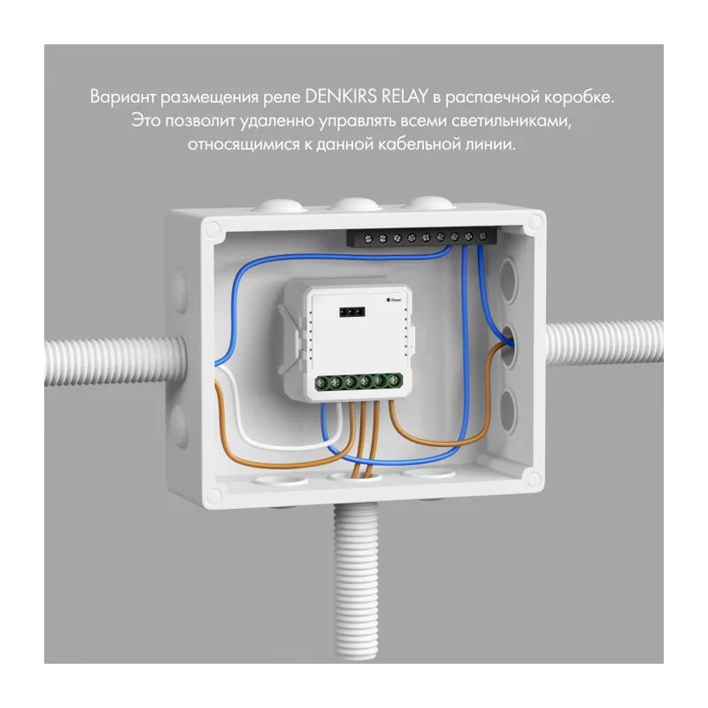 Wi-Fi реле Denkirs Relay | РИЛЭЙ RL1004-DM 2