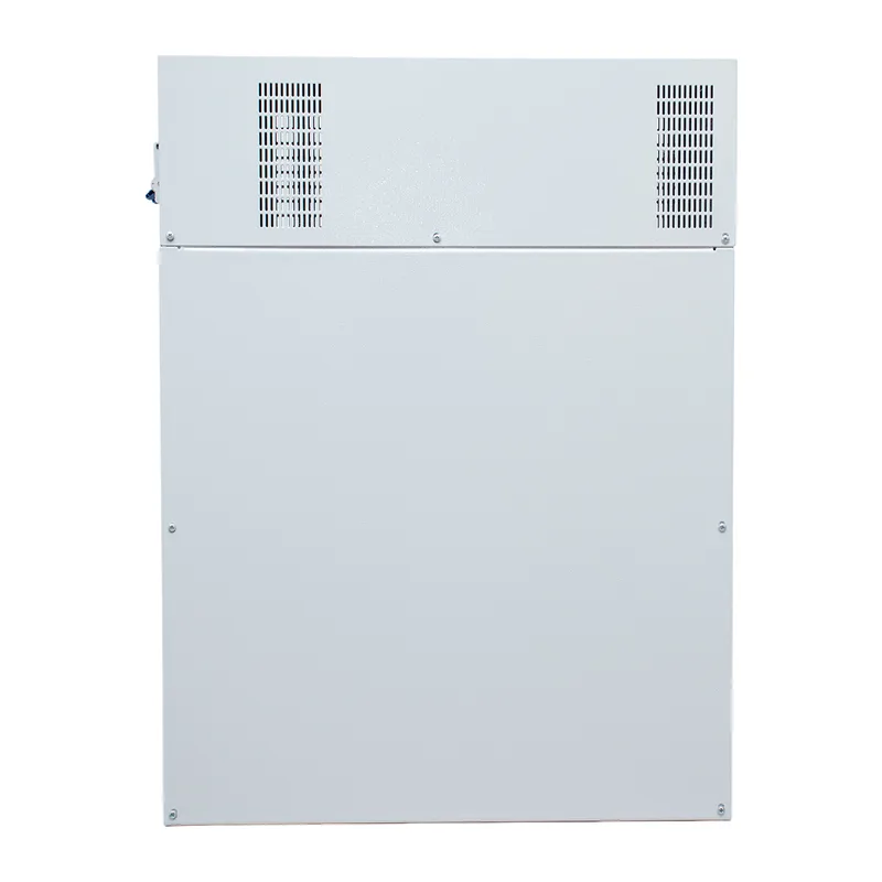 ИБП постоянного тока PS2410G-2 6