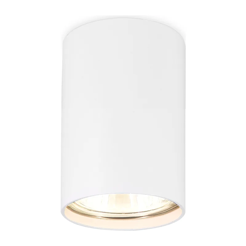 Накладной точечный светильник 1*GU5.3 TN213101 WH белый GU5.3 D55*80 Ambrella Light 3