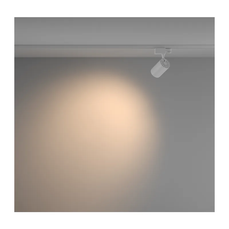 Трековый светильник TR-VGL029-3-10W3K-W-W - 10 Вт LED Voltega 5