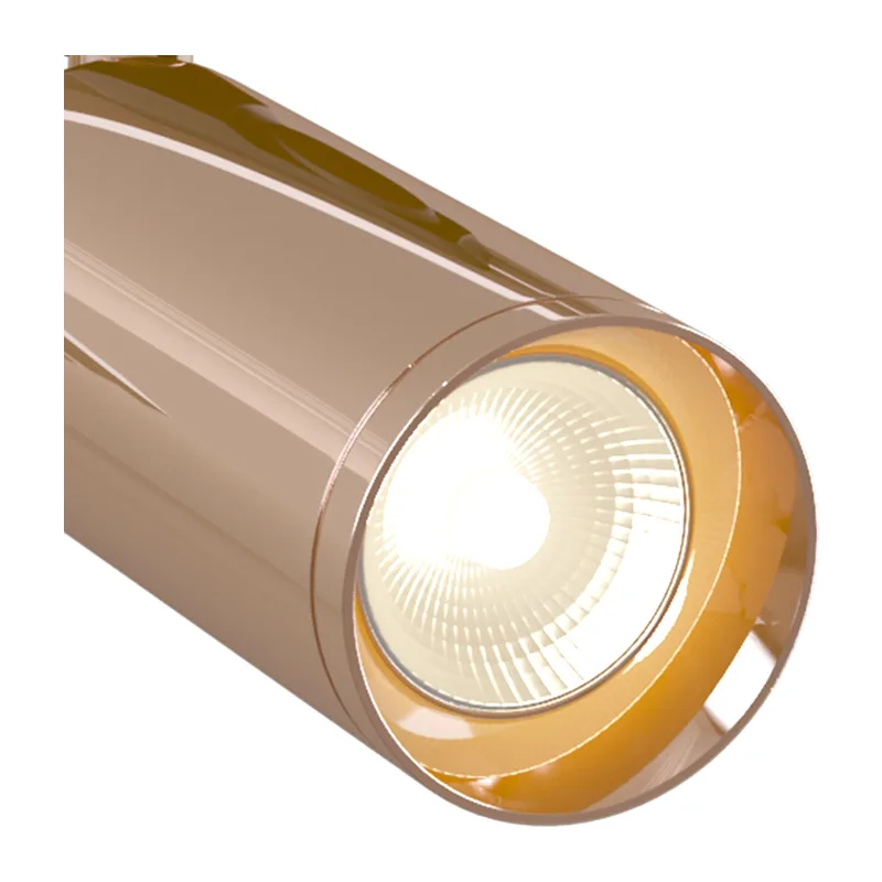 Трековый светильник Фокус / Focus Unity GU10 10Вт Maytoni TR004-1-GU10-RG 4