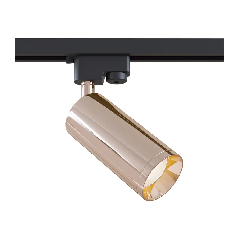 Трековый светильник Фокус / Focus Unity GU10 10Вт Maytoni TR004-1-GU10-RG