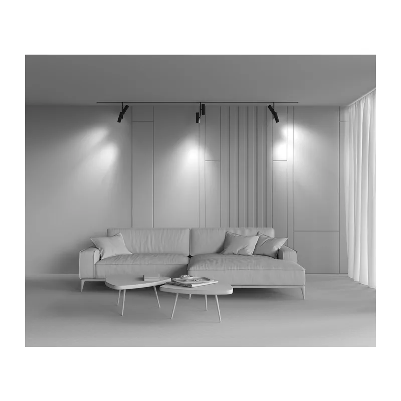 Трековый светильник Элти дуэт / Elti Duo Exility 4000K 24Вт 36° Maytoni TR005-2-2X12W4K-B 8