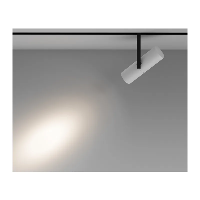 Трековый светильник Элти / Elti Exility 2700-6000K 12Вт 36° Dim Smart Maytoni TR005-4-12W-DS-BW 4