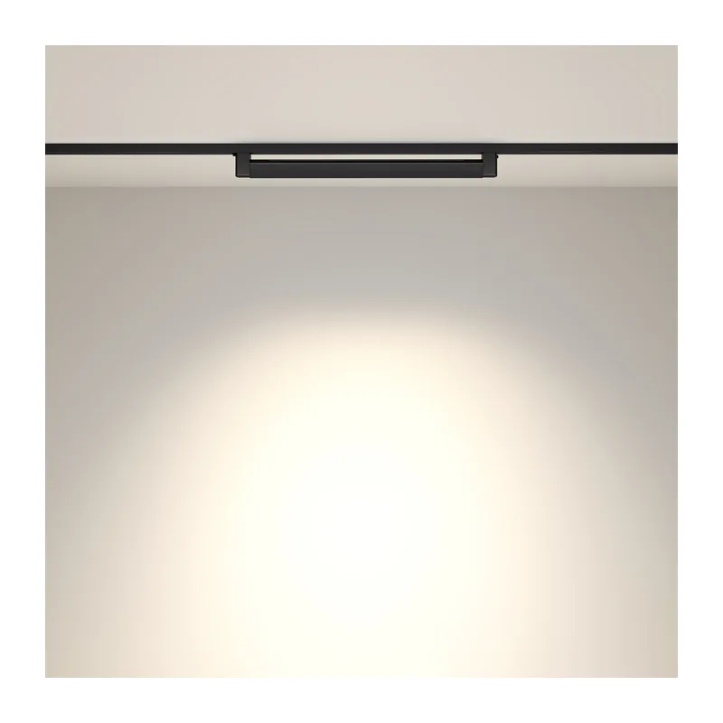 TR010-1-20W4K-M-B 9