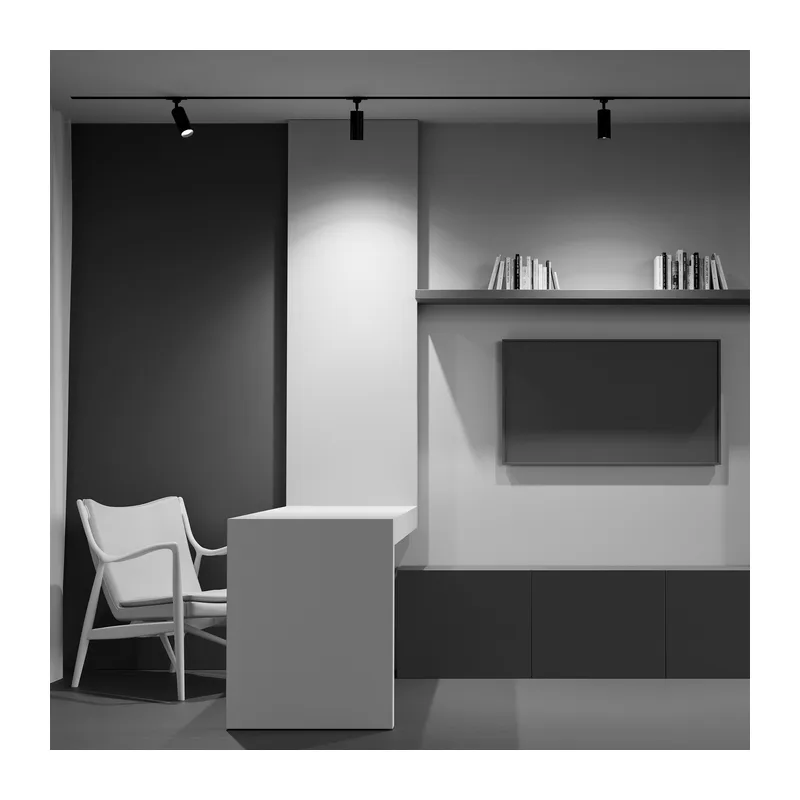 Трековый светильник Фокус / Focus Trinity GU10 10Вт Maytoni TR028-3-GU10-B 5