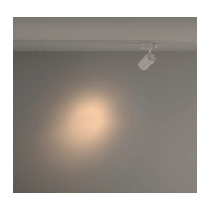 Трековый светильник Вуоро / Vuoro Trinity 3000K 10Вт 24° Maytoni TR029-3-10W3K-S-W 4