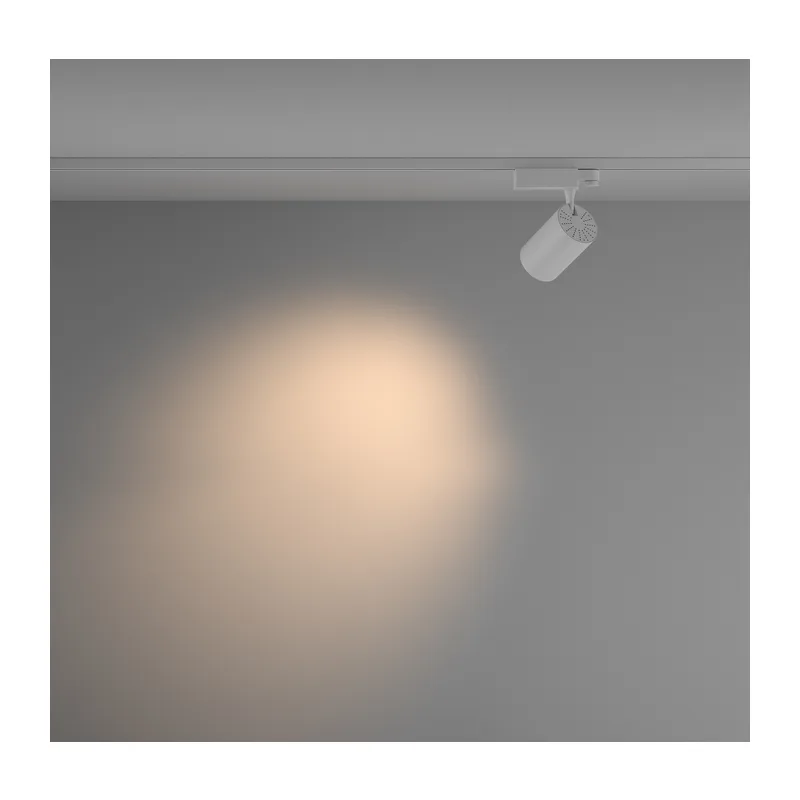 TR029-3-20W3K-M-W 6