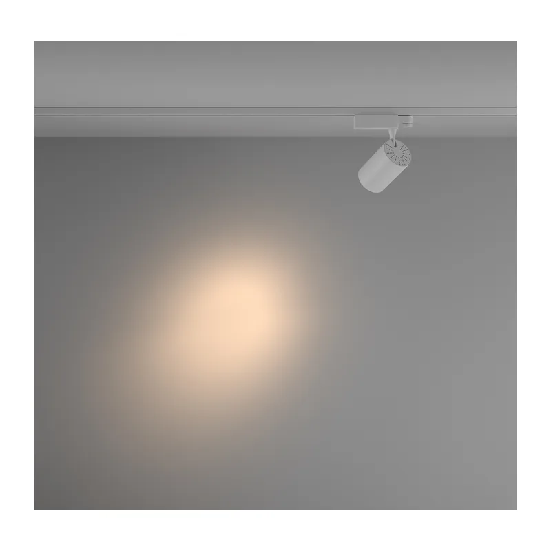 Трековый светильник Вуоро / Vuoro Trinity 3000K 20Вт 24° Maytoni TR029-3-20W3K-S-W 8