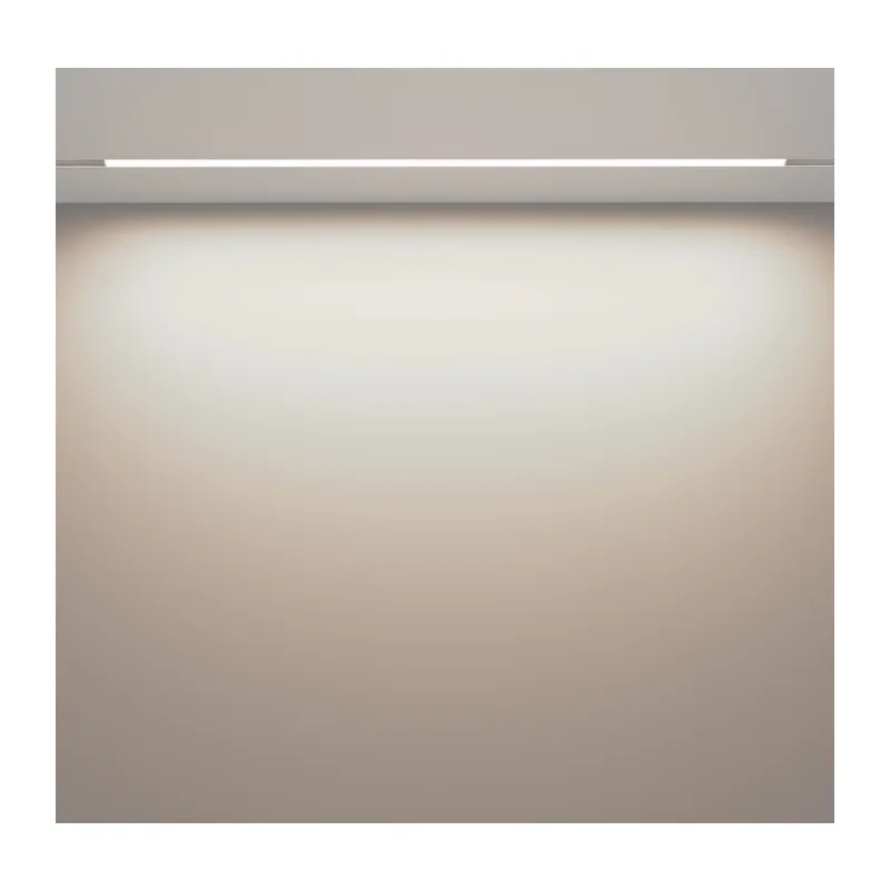 Трековый светильник Базис / Basis Exility 2700-6000K 30Вт 120° Dim Dali2 Maytoni TR030-4-30WTW-DD2-W 4