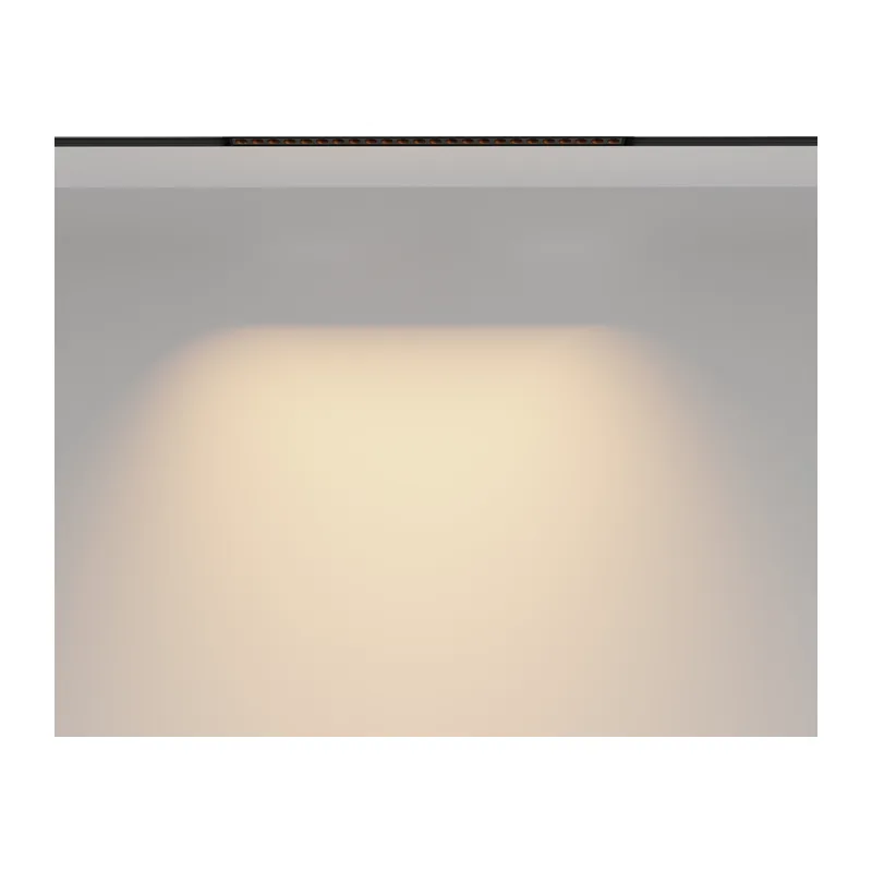 Трековый светильник Technical TR031-2-24W2.7K-B Maytoni 6