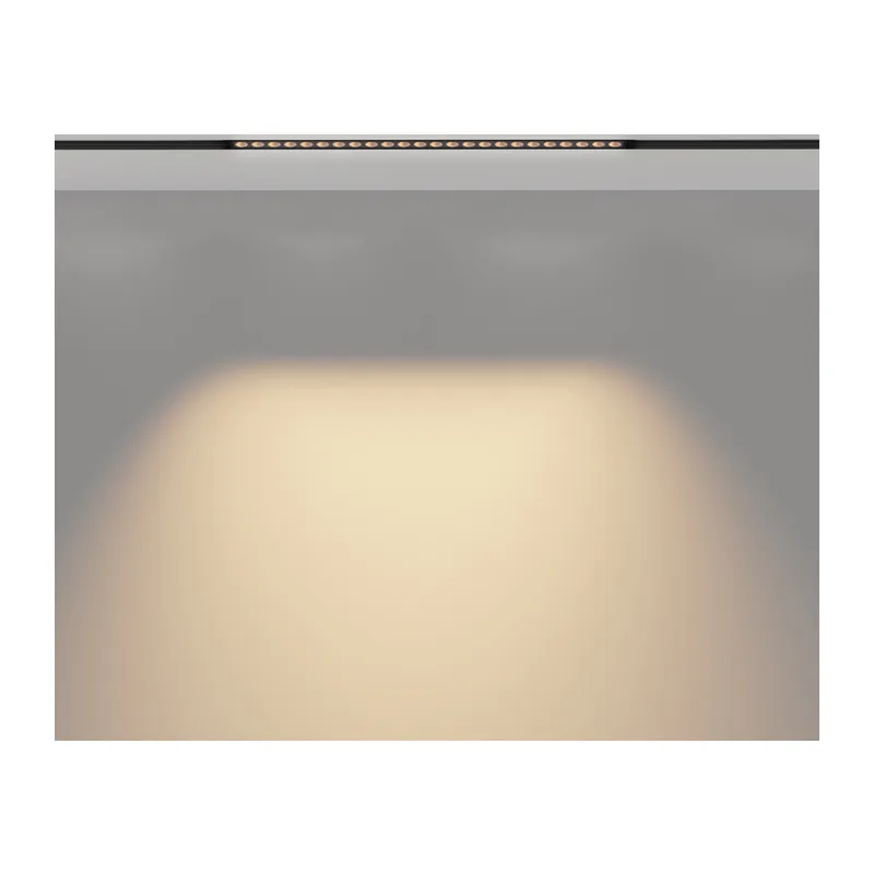 Трековый светильник Точки / Points Exility 3000K 24Вт 36° Maytoni TR031-2-24W3K-B 5