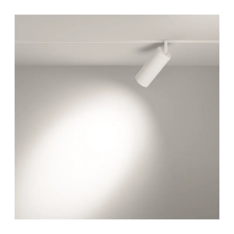 Трековый светильник Фокус / Focus Led Exility 3000K 20Вт 24° Maytoni TR032-2-20W3K-S-W 6