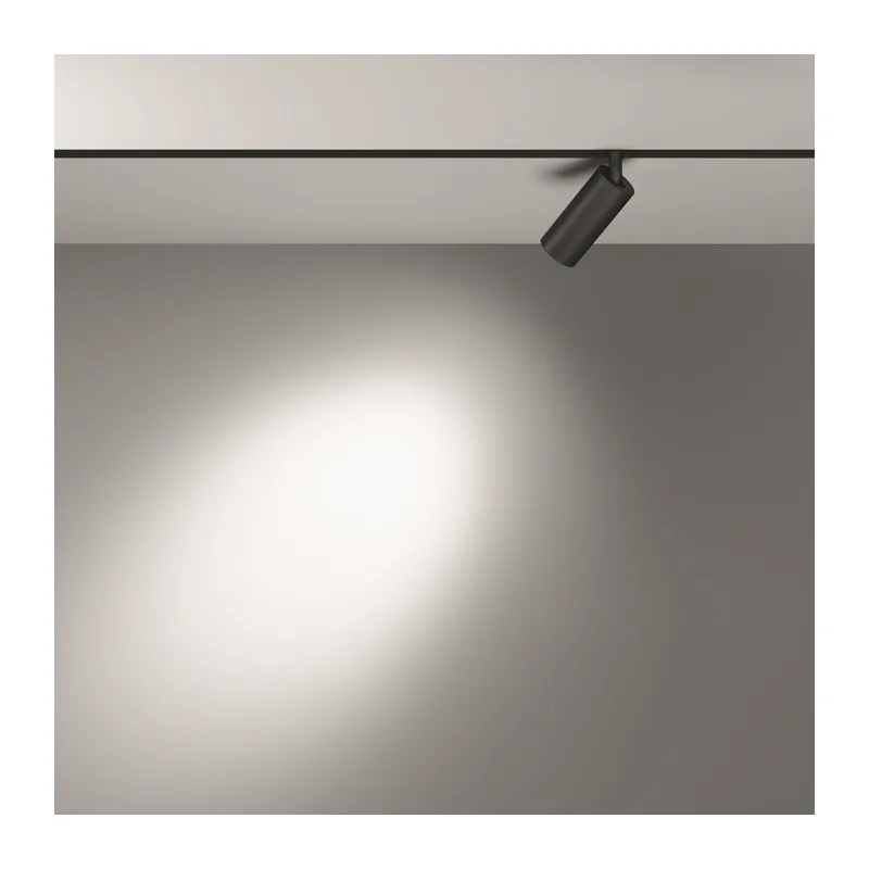 Трековый светильник Фокус / Focus Led Exility 3000K 5Вт 24° Maytoni TR032-2-5W3K-S-B 5