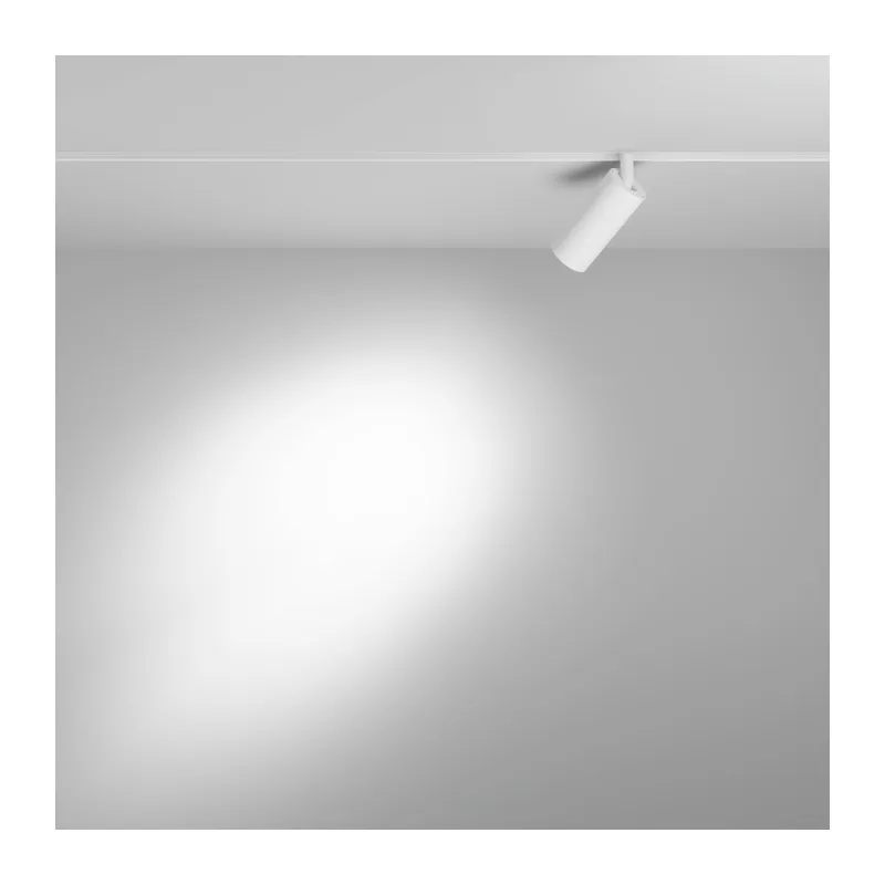 Трековый светильник Фокус / Focus Led Exility 3000K 5Вт 24° Maytoni TR032-2-5W3K-S-W 5