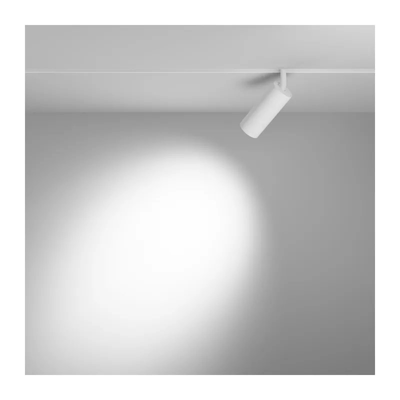 Трековый светильник Фокус / Focus Led Exility 2700-6000K 12Вт 36° Dim Dali2 Maytoni TR032-4-12WTW-M-DD2-W 4