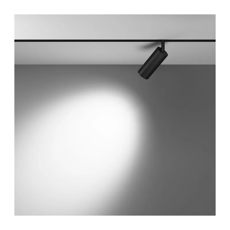Трековый светильник Фокус / Focus Led Exility 2700-6000K 12Вт 36° Dim Smart Zigbee Maytoni TR032-4-12WTW-M-DSZ-B 4