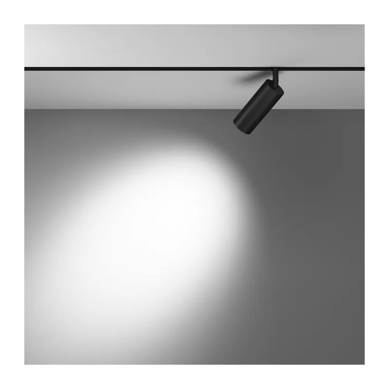 Трековый светильник Фокус / Focus Led Exility 2700-6000K 12Вт 36° Dim Dali1 Maytoni TR032-4-12WTW-S-DD-B 12