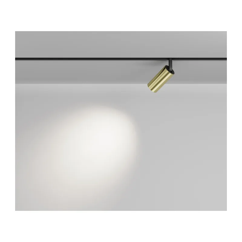 Трековый светильник Фокус / Focus Led Exility 2700-6000K 5Вт 36° Dim Smart Maytoni TR032-4-5W3K-M-DS-BBS 10