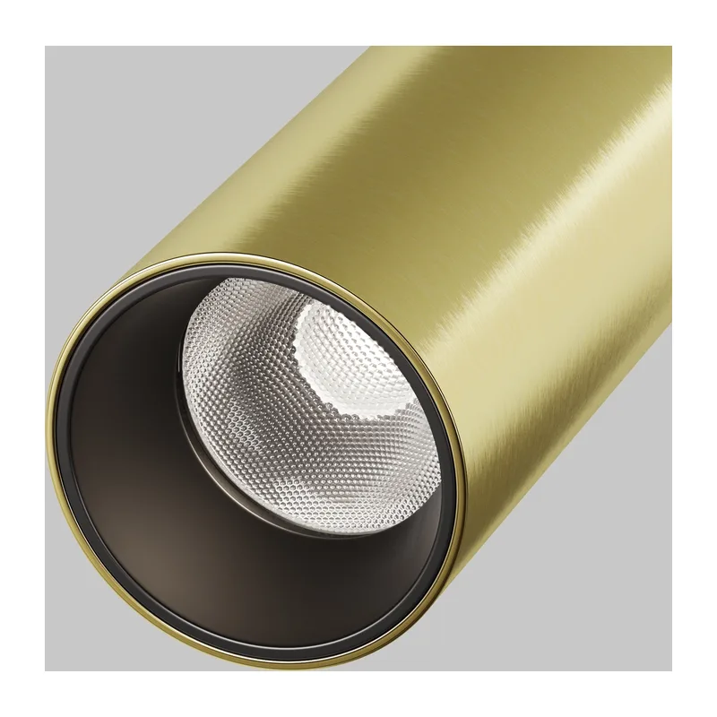 Трековый светильник Фокус / Focus Led Exility 2700-6000K 5Вт 36° Dim Smart Maytoni TR032-4-5W3K-M-DS-BBS 12