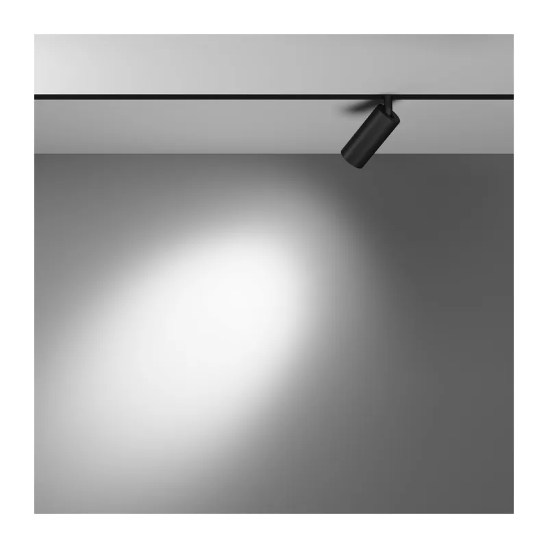 Трековый светильник Фокус / Focus Led Exility 2700-6000K 5Вт 24° Dim Smart Maytoni TR032-4-5W3K-S-DS-B 4
