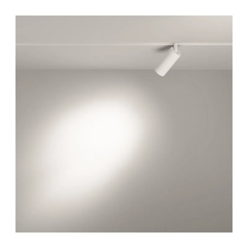Трековый светильник Фокус / Focus Led Exility 2700-6000K 5Вт 24° Dim Smart Maytoni TR032-4-5W3K-S-DS-W 5