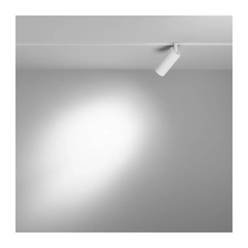 Трековый светильник Фокус / Focus Led Exility 2700-6000K 5Вт 36° Dim Dali2 Maytoni TR032-4-5WTW-M-DD2-W 4