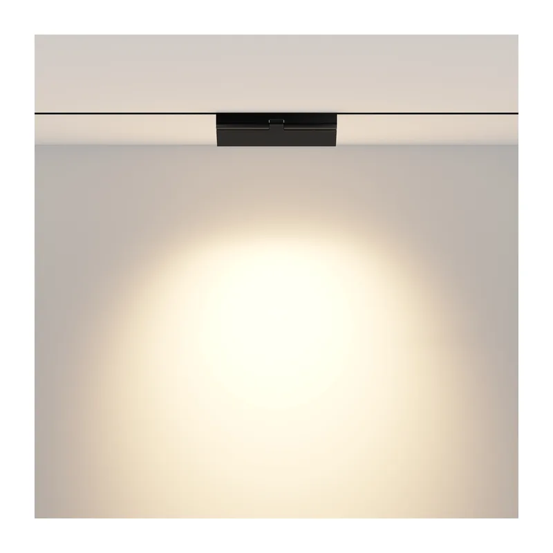Трековый светильник Точки / Points rot Exility 2700-6000K 12Вт 36° Dim Smart Maytoni TR033-4-12W3K-M-DS-B 4