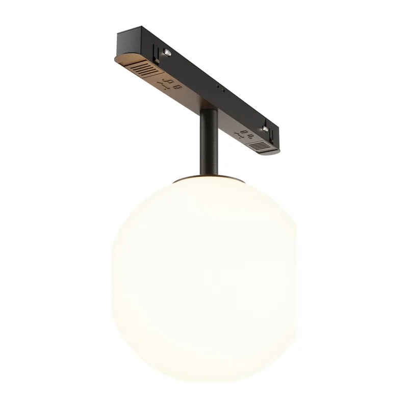 Трековый светильник Луна / Luna Exility 3000K 5Вт 360° Maytoni TR038-2-5W3K