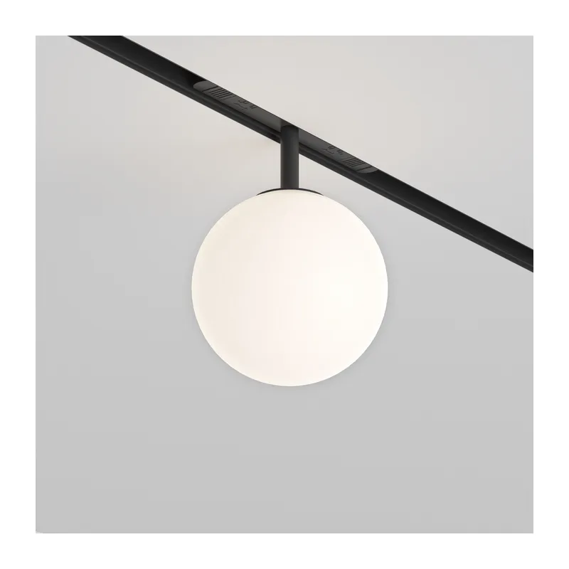 Трековый светильник Луна / Luna Exility 2700-6000K 5Вт 360° Dim Dali1 Maytoni TR038-4-5WTW-DD-B 4