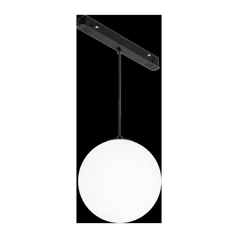 Трековый подвесной светильник Луна / Luna Exility 2700-4000K 5Вт 360° Dim Dali1 Maytoni TR039-4-5WTW-DD-B 4