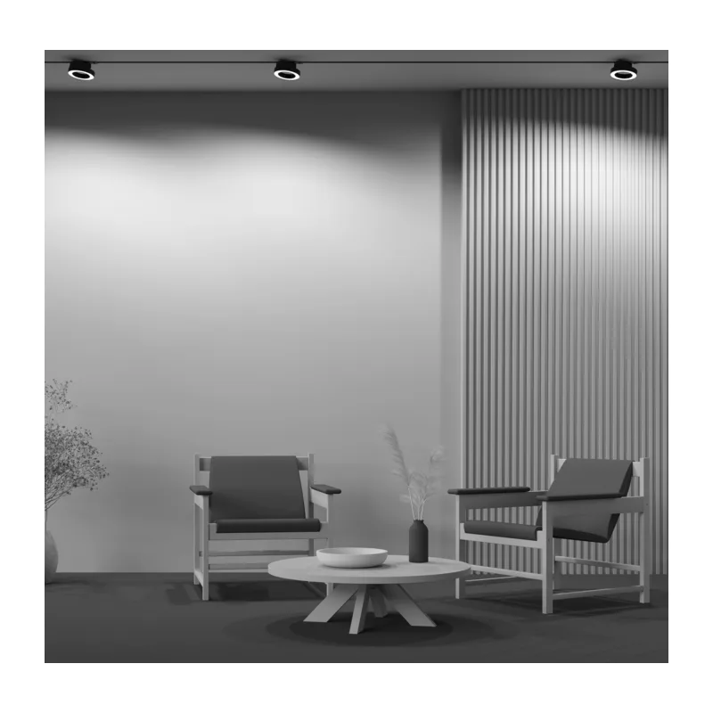Трековый светильник Рим / Rim Unity 3000K 12Вт 110° Maytoni TR044-1-12W3K-B 6