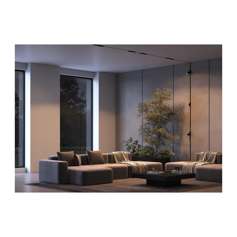 Трековый светильник Точки / Points Radity 3000K 6Вт 36° Maytoni TR082-1-6W3K-M-B 2