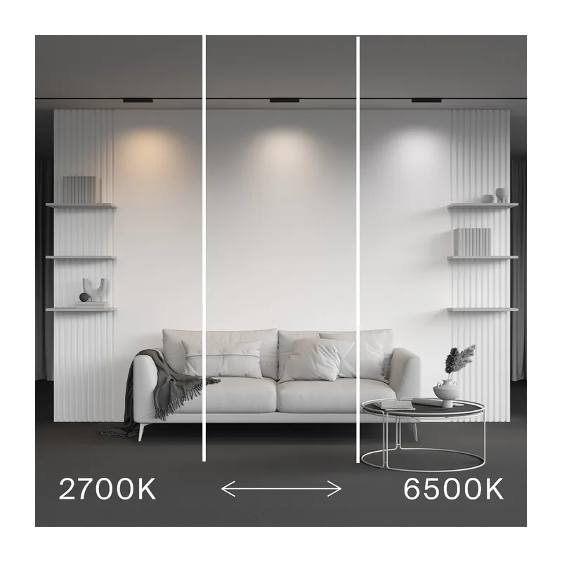 Трековый светильник Точки / Points Radity 2700-6500K 12Вт 36° Dim Smart Maytoni TR082-4-12WTW-M-B 2
