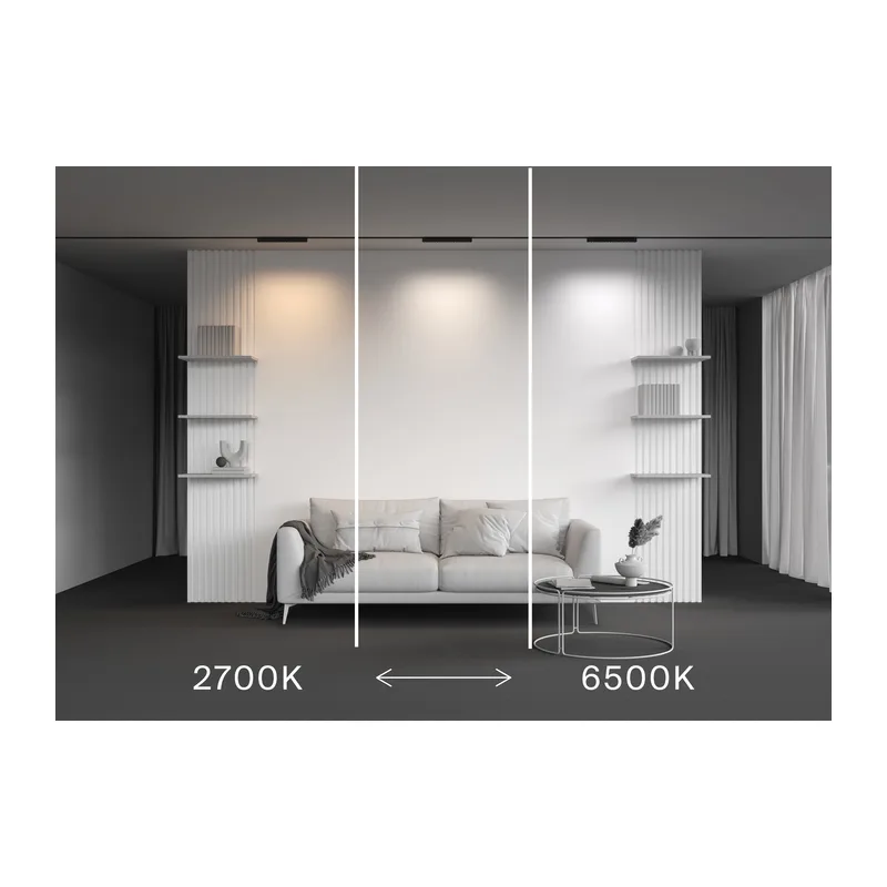 Трековый светильник Точки / Points Radity 2700-6500K 18Вт 36° Dim Smart Maytoni TR082-4-18WTW-M-B 7
