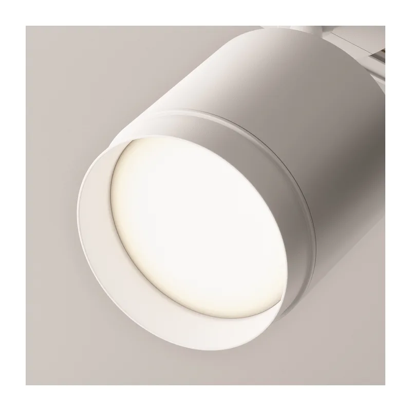 Трековый светильник Полярный / Polar Unity GX53 15Вт Maytoni TR088-1-GX53-W 8