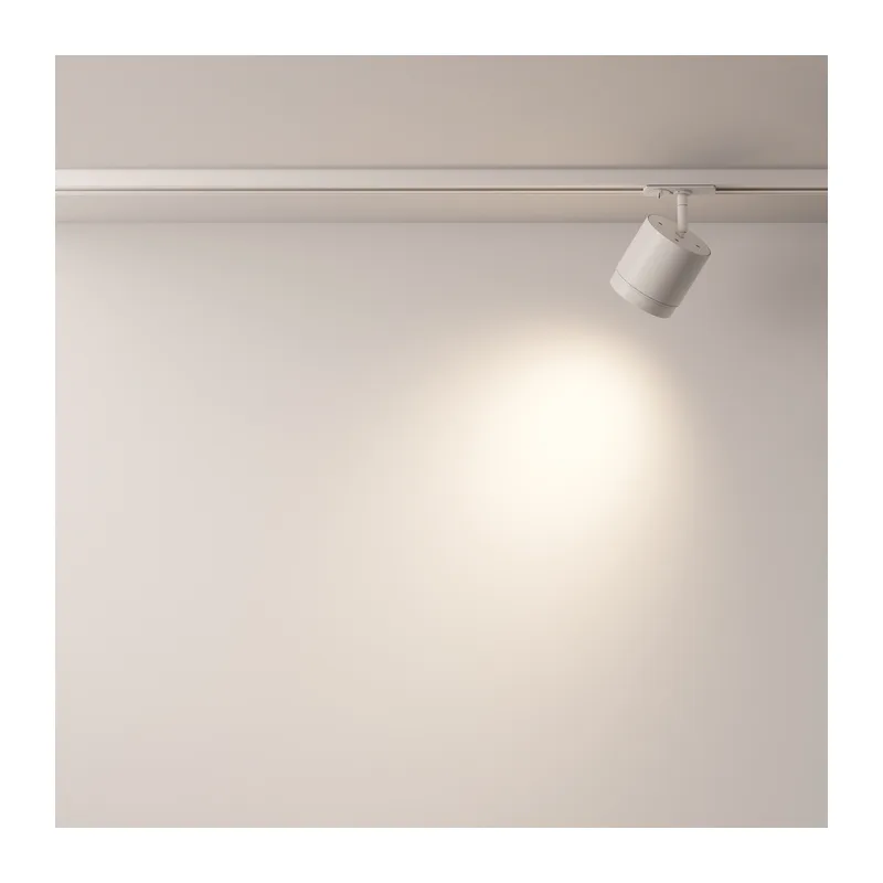 Трековый светильник Полярный / Polar Unity GX53 15Вт Maytoni TR088-1-GX53-W 9