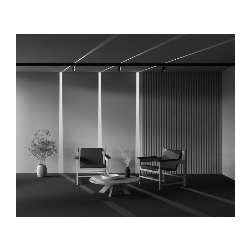 Трековый светильник Контур / Outline Exility 4000K 6Вт 180° Maytoni TR090-2-6W4K-B 11