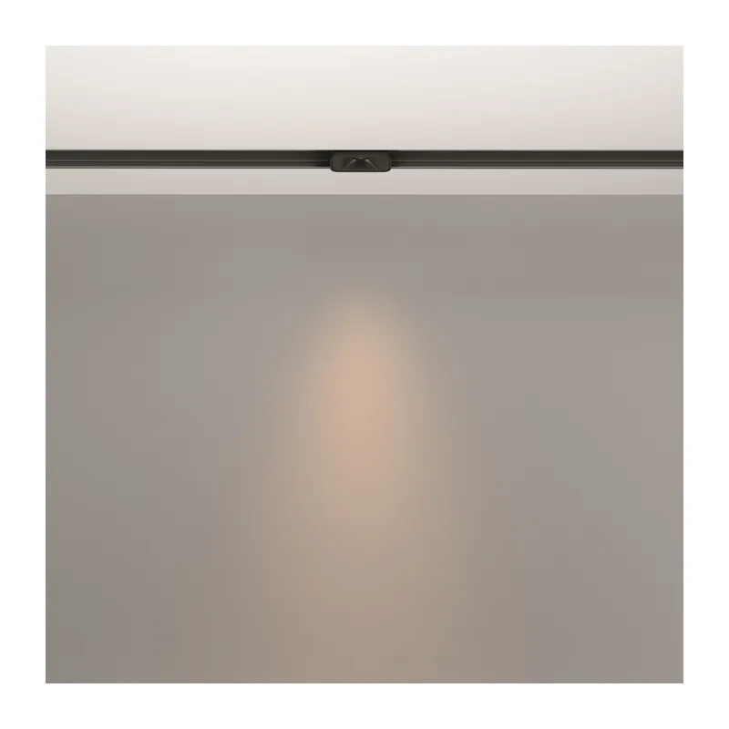 Трековый светильник Точки / Points S Exility 3000K 2Вт 24° Maytoni TR100-2-2W3K-S-B 12
