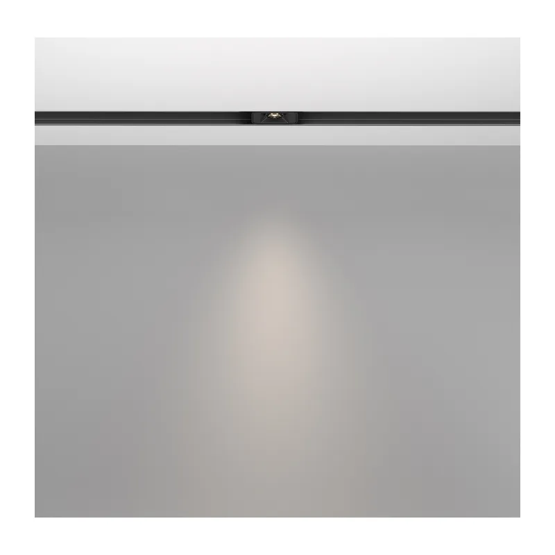 Трековый светильник Точки / Points S Exility 4000K 2Вт 24° Maytoni TR100-2-2W4K-S-B 5