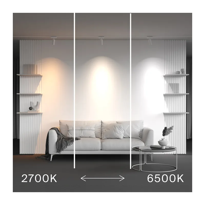 Трековый светильник Фокус / Focus Led Radity 2700-6500K 12Вт 36° Dim Smart Maytoni TR103-4-12WTW-M-W 5