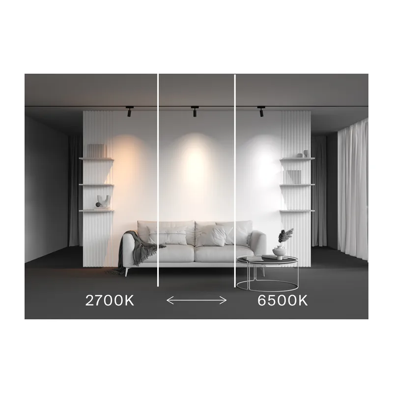Трековый светильник Фокус / Focus Led Radity 2700-6500K 7Вт 36° Dim Smart Maytoni TR103-4-7WTW-M-B 6
