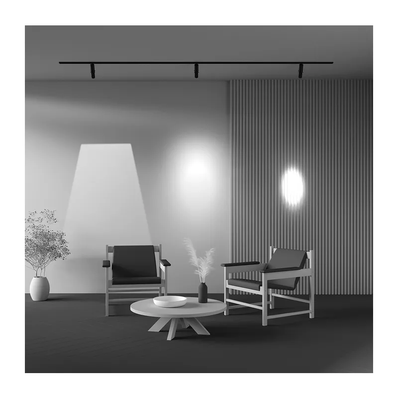Трековый светильник Гала / Gala Exility 2700-6000K 10Вт 20°-35° Dim Smart Maytoni TR108-4-10W3K-DS-B 13