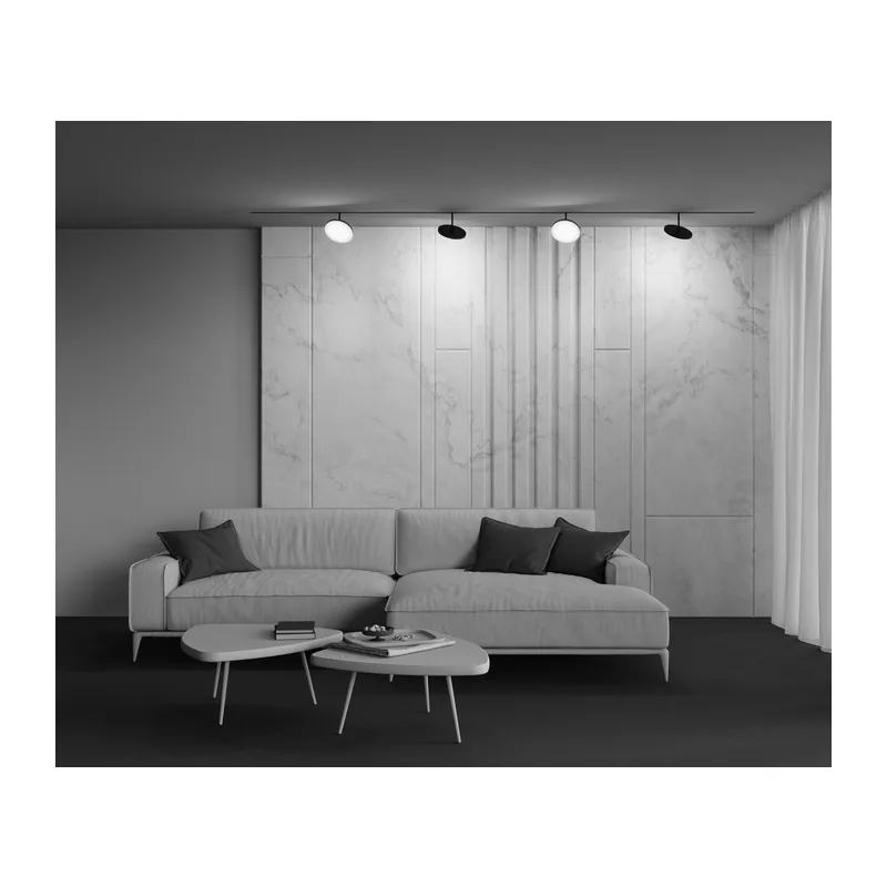 Трековый светильник Плато / Plato Exility 3000K 15Вт 120° Maytoni TR131-2-15W3K-B 2