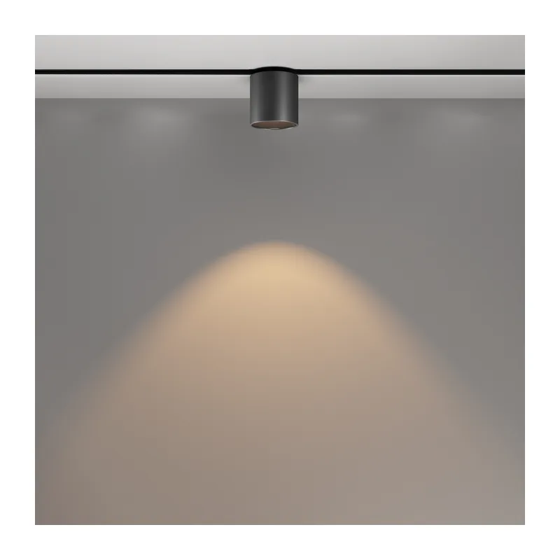 Трековый светильник Альфа / Alfa S Exility 3000K 6Вт 50° Maytoni TR132-2-7W3K-B 10
